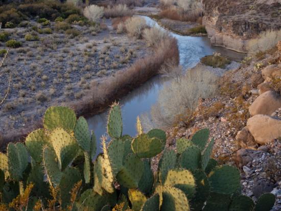 River cuts through desert landscape with mountains in the background.