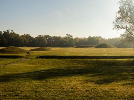 Morning light across misty and grassy mounded area. 