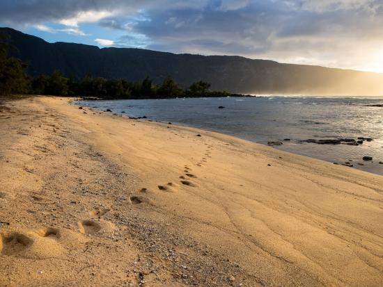 Tropical sandy beach at sunset. 