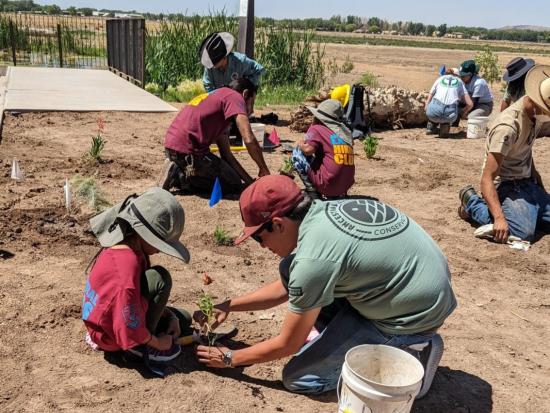 Group of people and children planting flowers in dirt. 