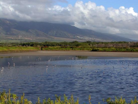 Open water under clouds, mountains in the background.