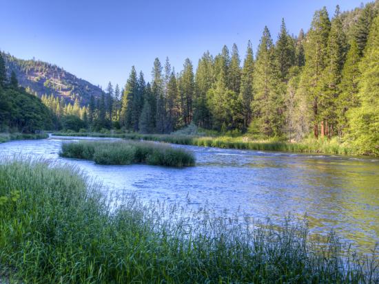 Steep canyon walls covered by a variety of pine, sage and juniper and decorated with basalt outcrops create an exceptionally peaceful experience.