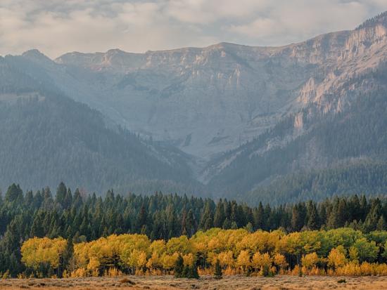 Mountain landscape with evergreens and yellowing aspens at the base. 