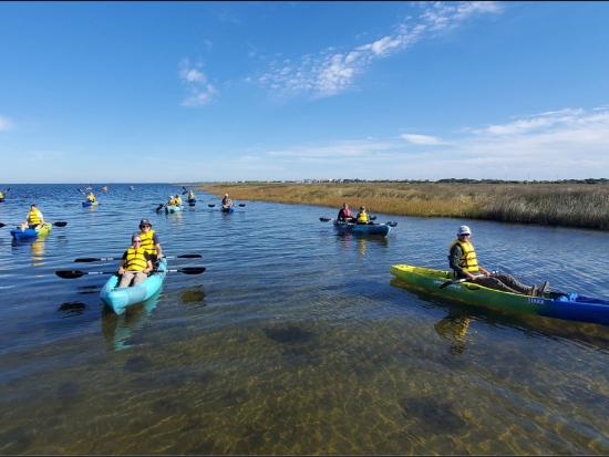 Group of kayakers on the ocean. 