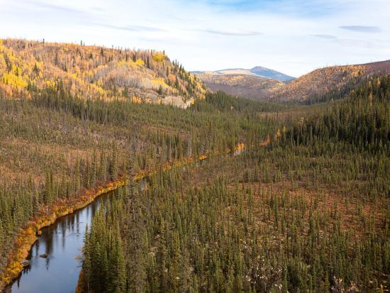 O'Brien Creek, a tributary to the Fortymile Wild and Scenic River, shows fall colors. 