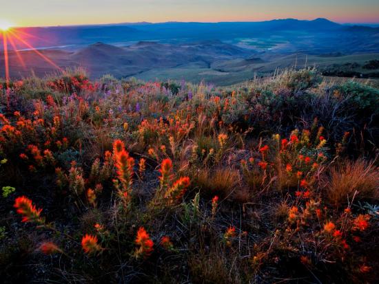 A sun sets over Pine Forest Range Wilderness in northern Nevada