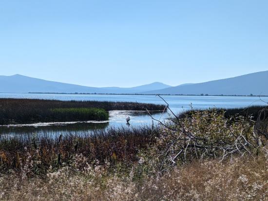 The sun shimmers over a wetland with a mountain range in the background.