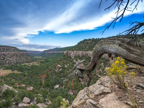 High, narrow mesas surrounded by cliff-lined canyons at Sabinoso Wilderness.