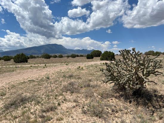 Photo of the Placitas Withdrawal Tracts with vast landscapes of pinon juniper, cholla and sagebrush.