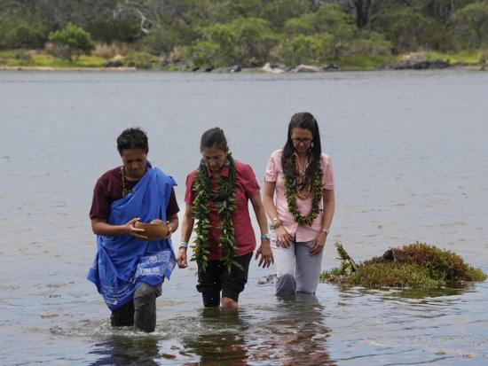 Three people wade through knee high water