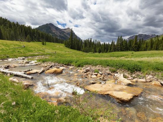 Soda Butte Creek is a fisheries of the Lamar Valley in the northeastern corner of Yellowstone National Park.
