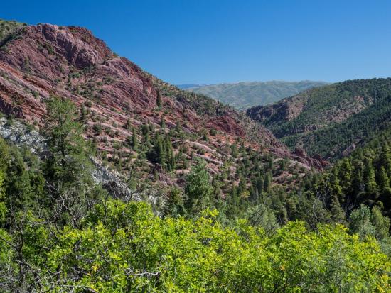 Mountains covered in green trees and bushes with a bright blue sky