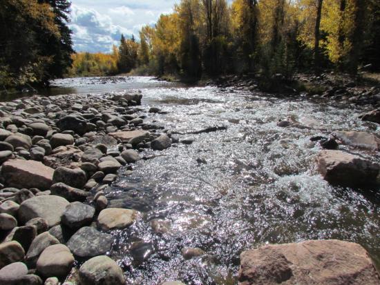 Tree-lined river with clear water over rocks.