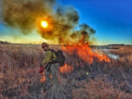 A firefighter on a prescribed burn