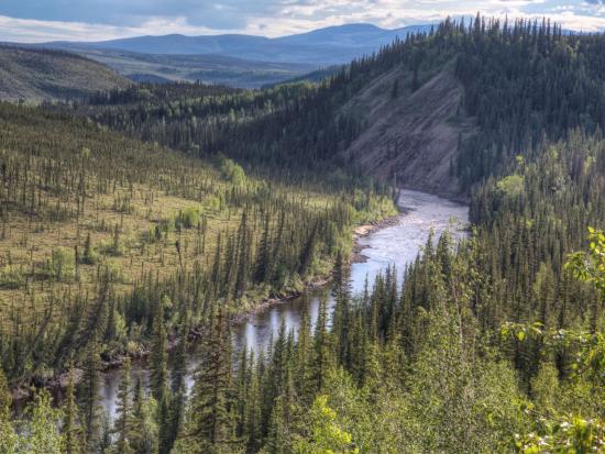 Overhead view of the Fortymile National Wild and Scenic River area and the Taylor Highway
