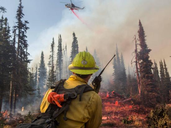 Firefighter holds a radio as a helicopter flies over the Rice Ridge Fire.