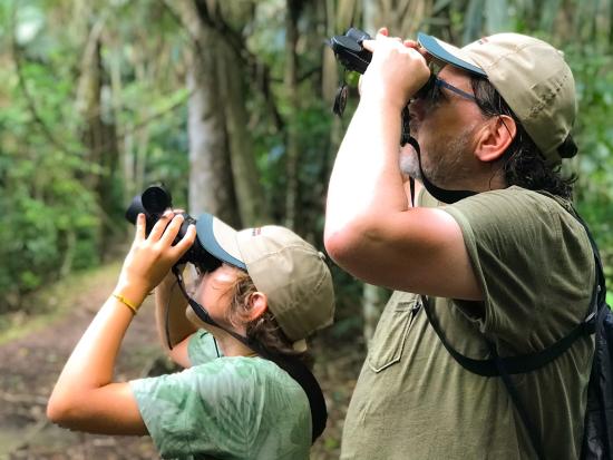 Supporting local wildlife tourism in the Maya Biosphere Reserve