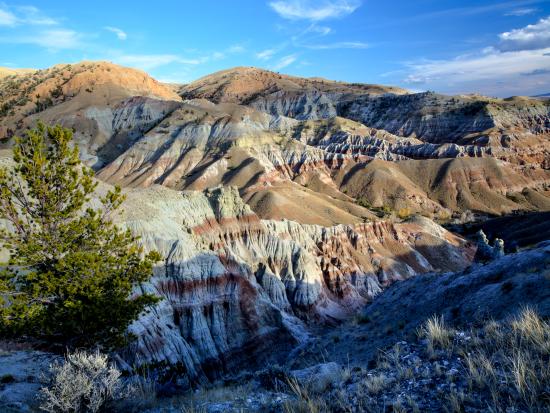 The colorful strata of the Dubois Badlands Wilderness Study Area in low light.