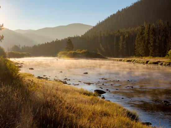 Sun shines on a tree-lined section of the Bighole River.