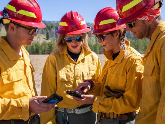 Four firefighters discuss plans while looking at a phone. Photo by BLM.