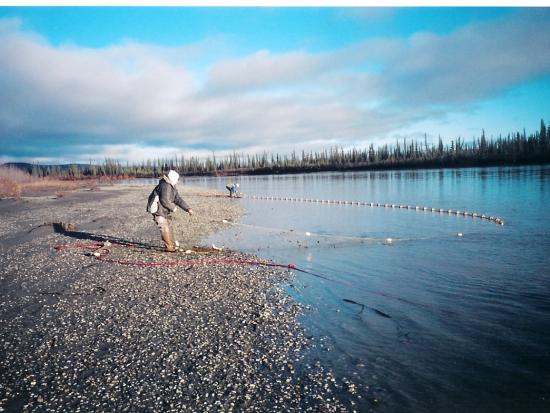 Picture of people Fishing