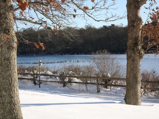 A snow-covered lakeshore with visible trees and a short wooden fence