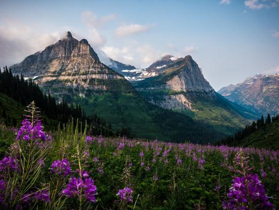A mountain valley in spring