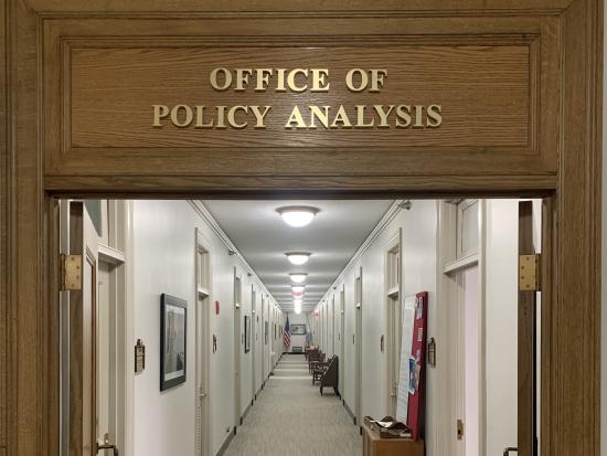 Placeholder photo for Office of Policy Analysis director