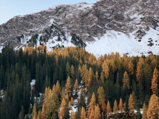 Snow in the Rockies, with colorful aspens and evergreens