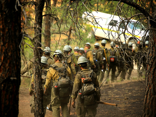 A line of wildland firefighters walks away from the camera through a forest. A white truck is parked ahead of them. The trees and ground around them are partially scorched. Photo by Austin Catlin, BLM.