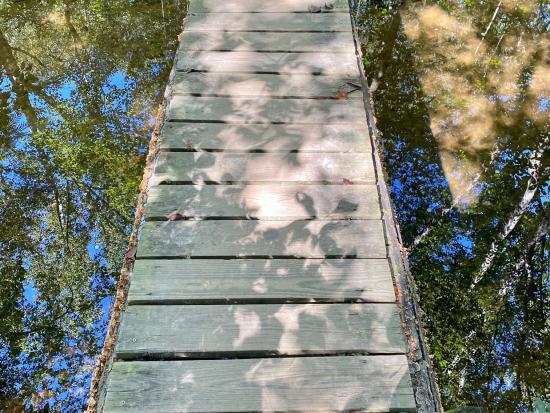 Image of a walking path bridge over a small stream.