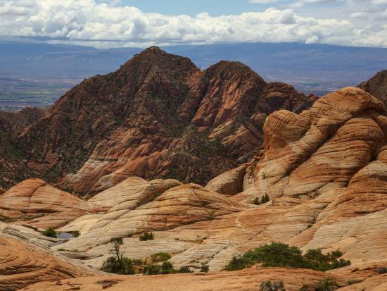 Red Cliffs National Conservation Area showcases scenic desert vistas.