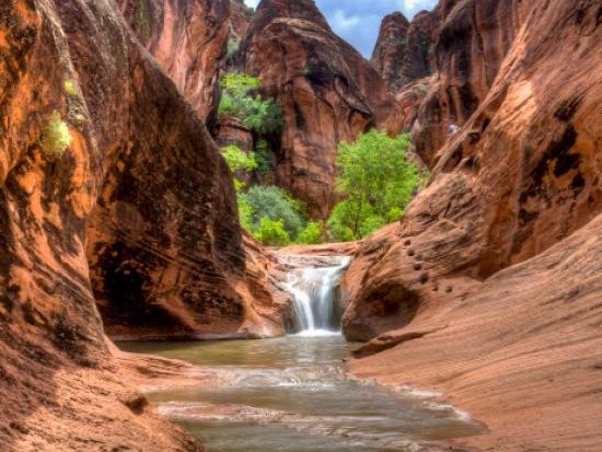 Red rock sandstone with trees and a small waterfall