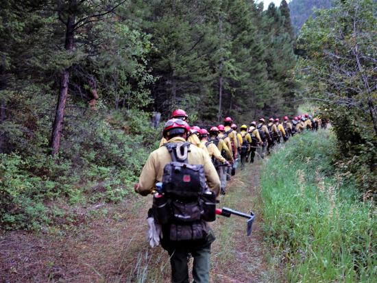 Wildland firefighters hike in a line on a fire assignment.