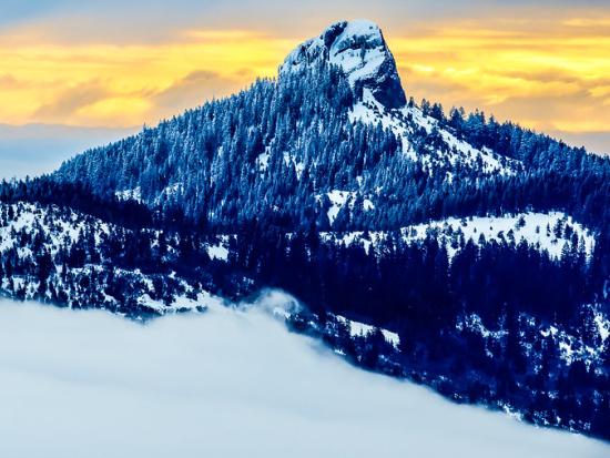 Snowy, tree-covered mountain aginst a vibrant sky in winter