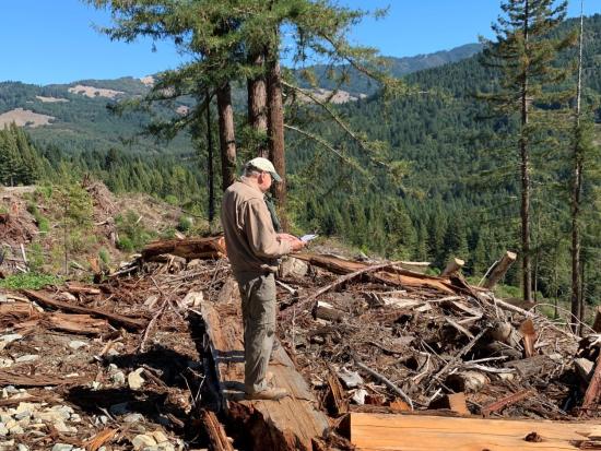Appraiser does an inspection in a wooded area