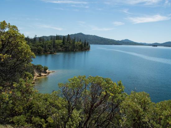 Large lake surrounded by trees in a wilderness area