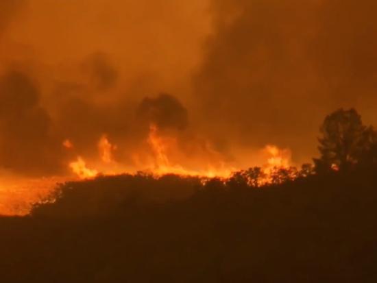 Picture of wildfire burning