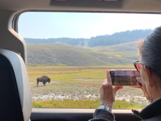 Secretary Haaland takes photo of bison
