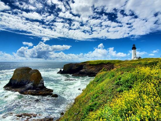 Waves crash along the shore, lighthouse rises into a cloudy sky.