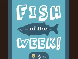 10-Fall-2021-FishofWeek_logo photo