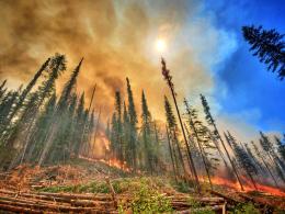 The Summit Trail Fire.