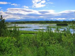 View of a wetland at Kootenai National Wildlife Refuge