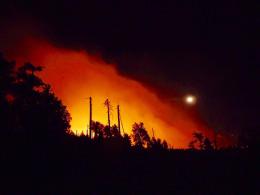 Highline Fire in Tonto National Forest