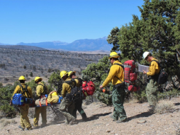 A team practices transporting an injured wildland firefighter off the fire land.