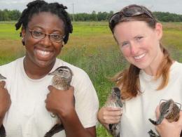 Two people holding ducklings in a marsh