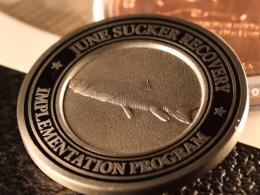 June sucker coin for fish of the week podcast