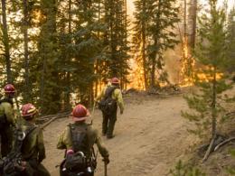 Group of firefighters walk towards a fire