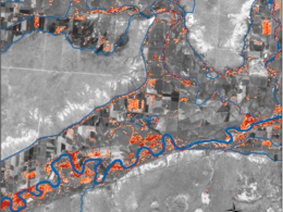 Image of NASA remote sensing map of invasive species