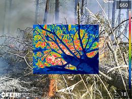 thermal image overlaying a photograph of a fallen tree in flames 